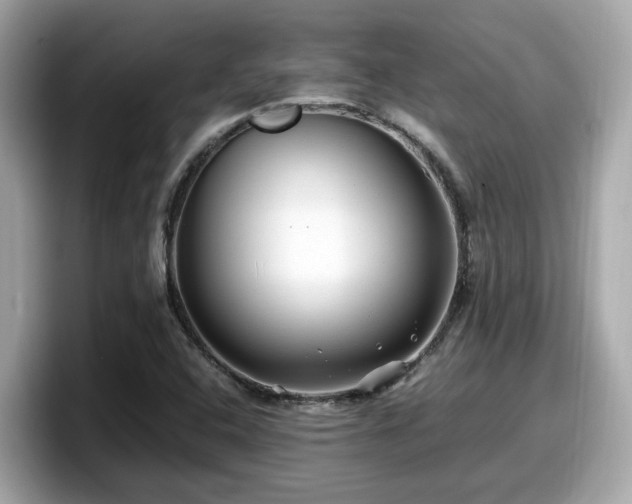 X0000098081408200804110933