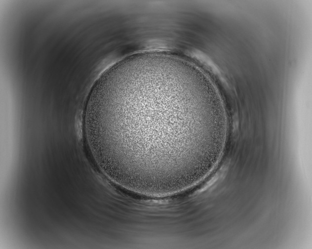 X0000098081409200804110933