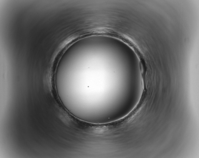 X0000098081410200804110933