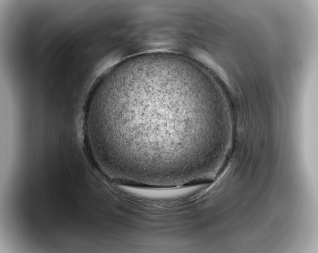 X0000098081411200804110933