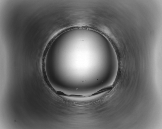 X0000098081412200804110933