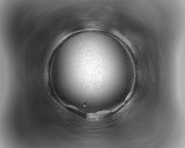 X0000098081415200804110933