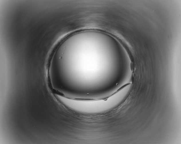 X0000098081416200804110933