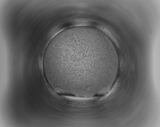 X0000098081417200804110933