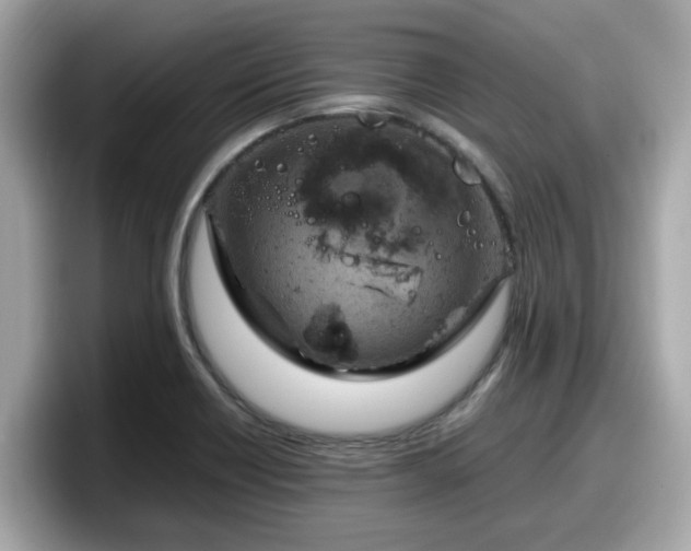 X0000098081418200804110933