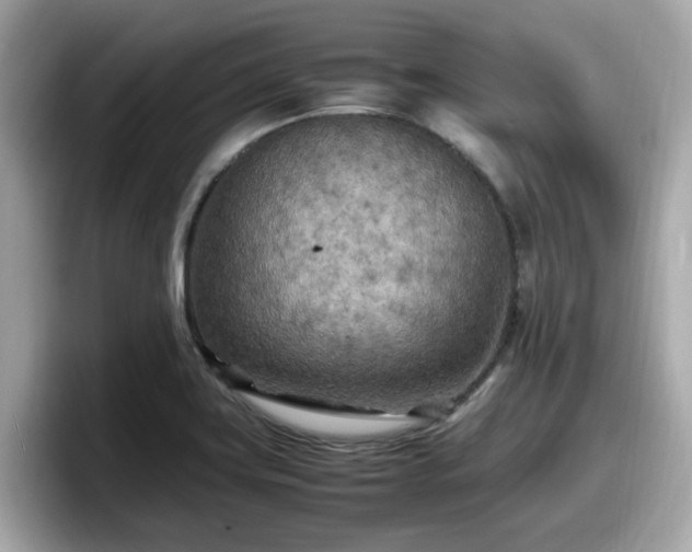 X0000098081419200804110933