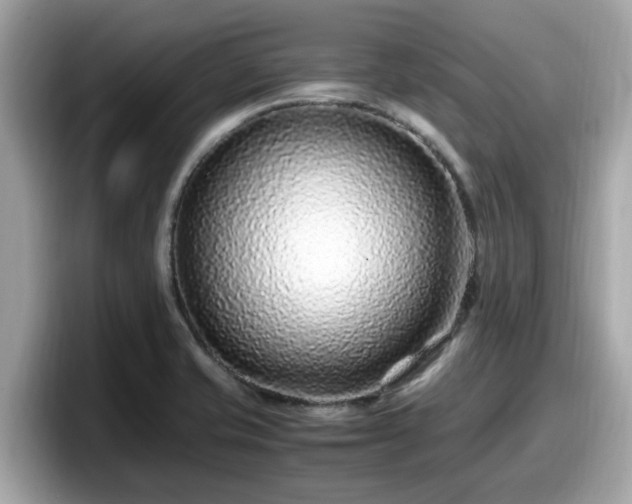 X0000098081421200804110933