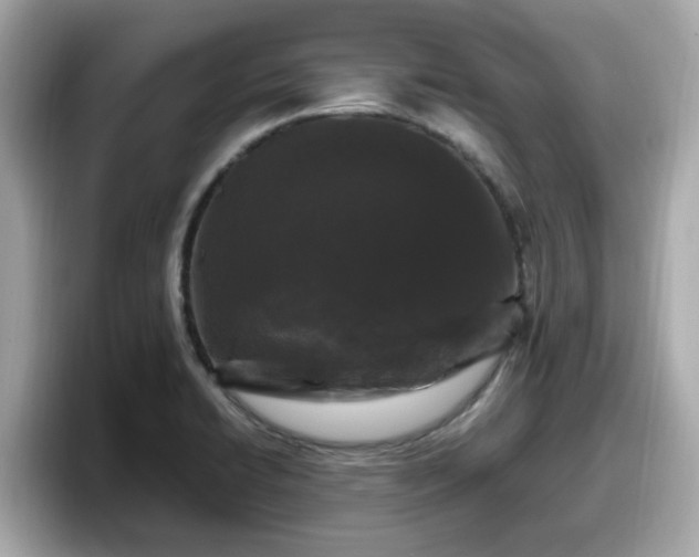 X0000098081422200804110933
