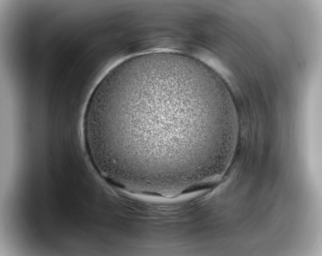 X0000098081423200804110933