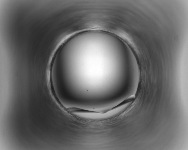 X0000098081424200804110933