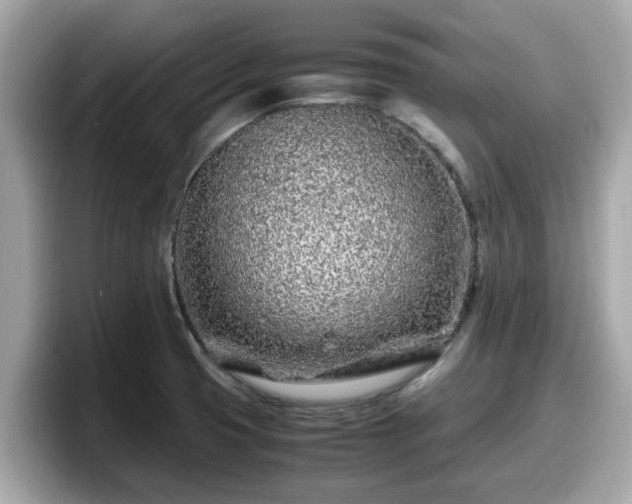 X0000098081425200804110933
