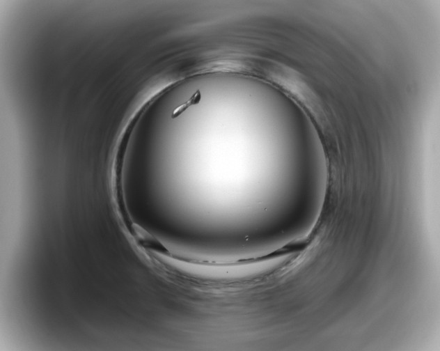 X0000098081426200804110933
