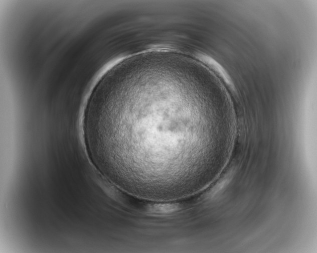 X0000098081427200804110933