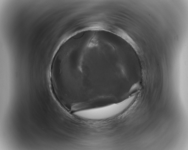 X0000098081428200804110933