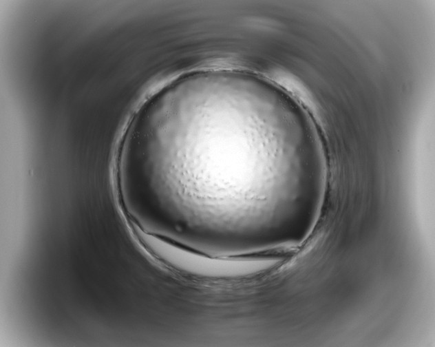 X0000098081429200804110933