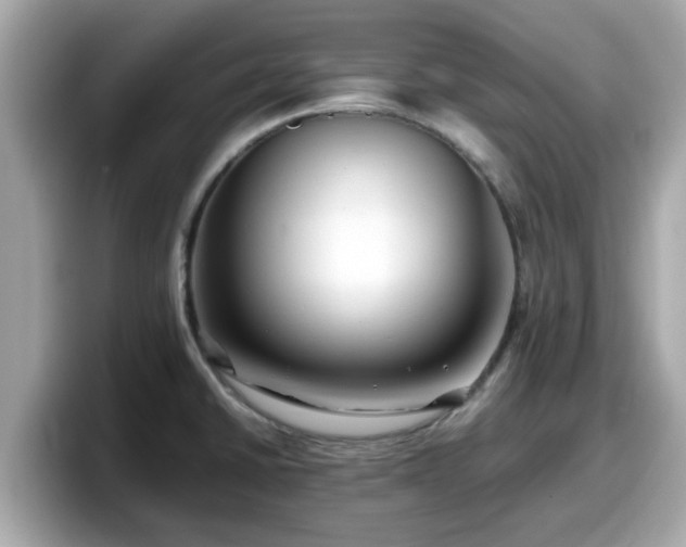 X0000098081430200804110933
