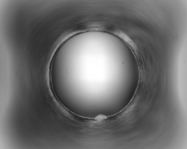 X0000098081431200804110933