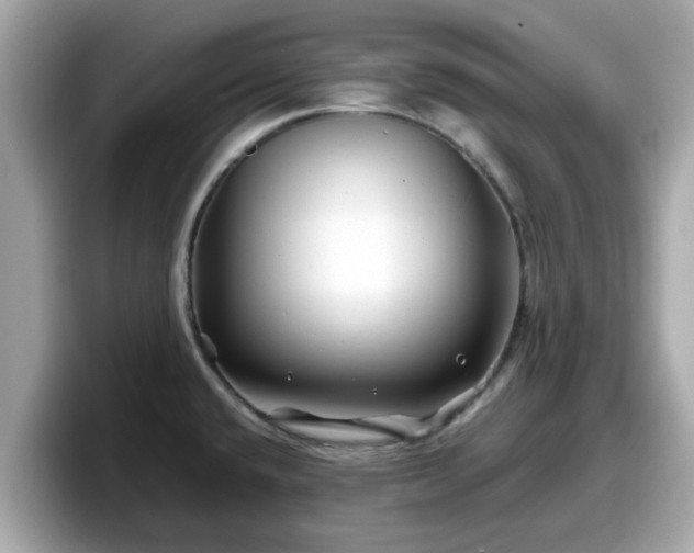 X0000098081432200804110933