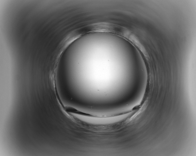 X0000098081433200804110933
