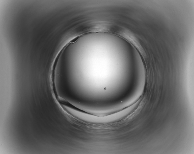 X0000098081434200804110933