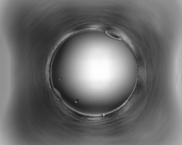 X0000098081435200804110933