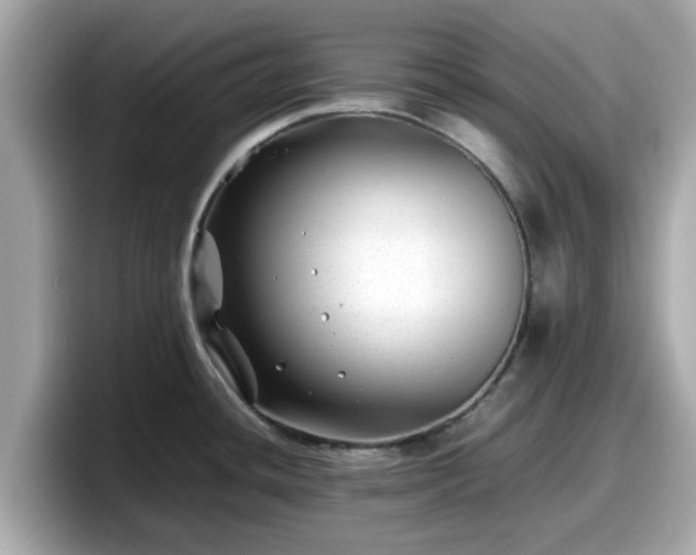 X0000098081436200804110933