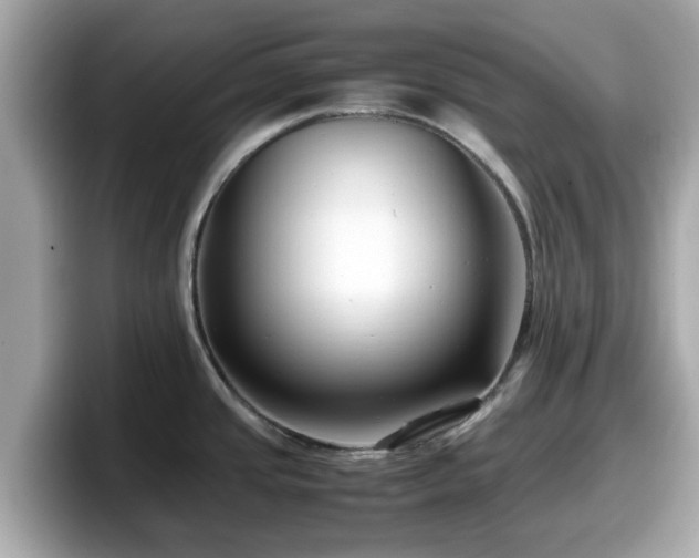 X0000098081437200804110933