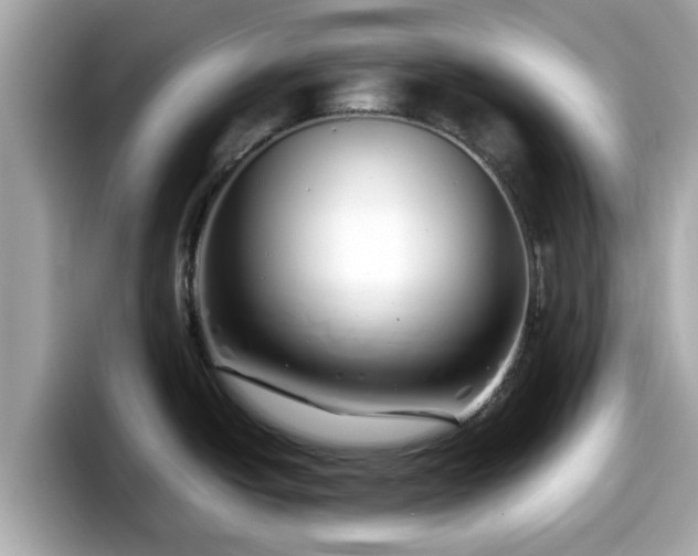 X0000098081438200804110933