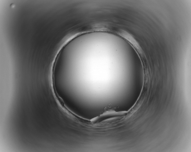 X0000098081439200804110933