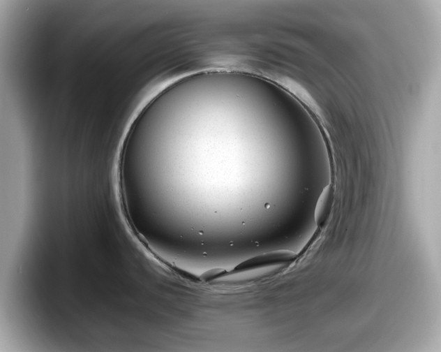 X0000098081440200804110933