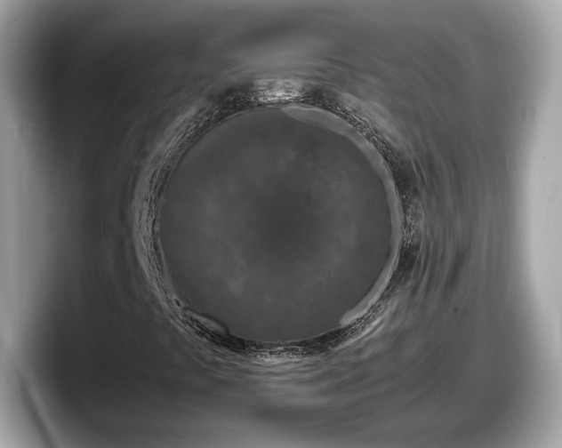 X0000098081441200804110933