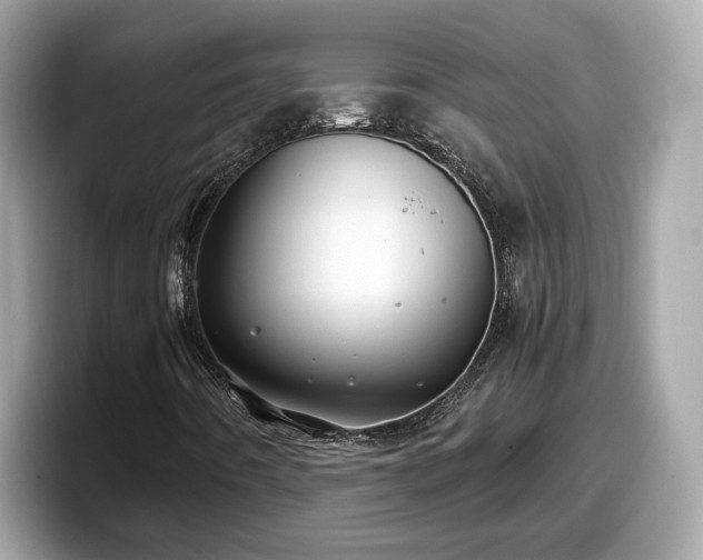 X0000098081442200804110933