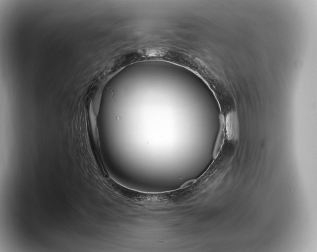 X0000098081443200804110933