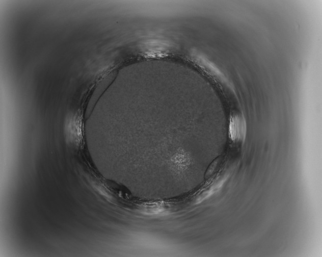 X0000098081444200804110933