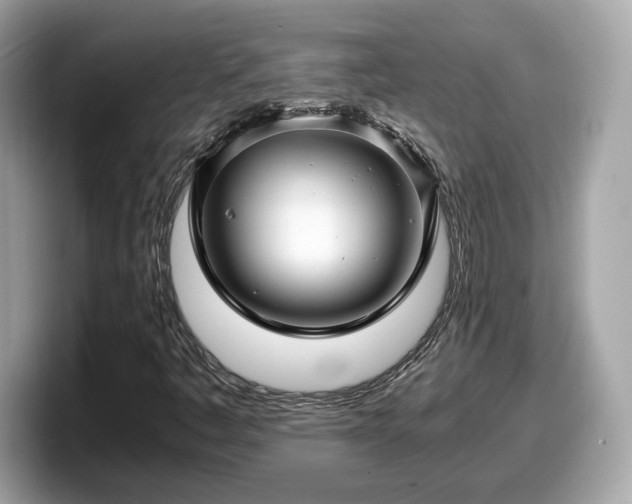 X0000098081445200804110933