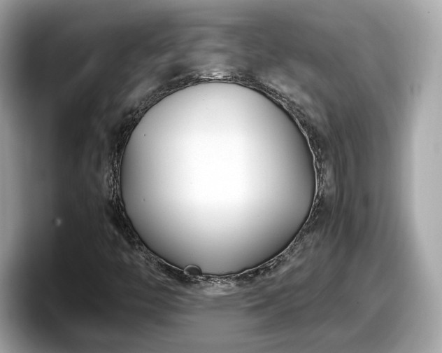 X0000098081446200804110933
