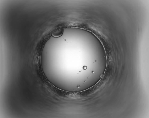 X0000098081447200804110933