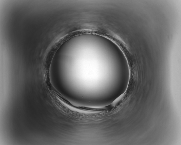 X0000098081448200804110933