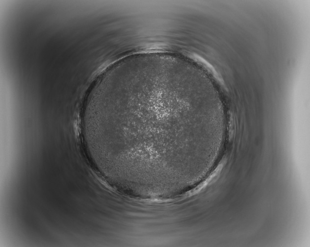 X0000098081449200804110933