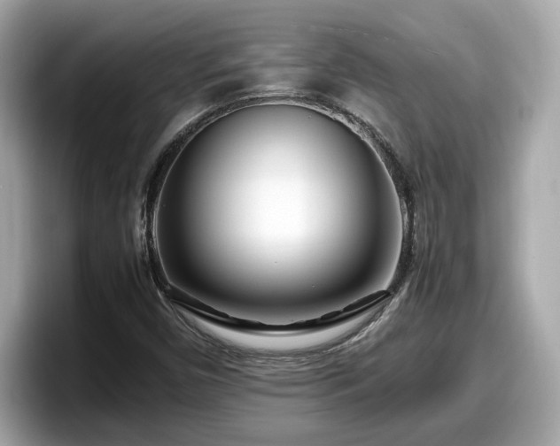 X0000098081450200804110933