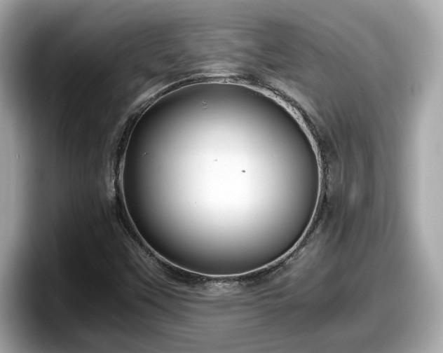 X0000098081451200804110933