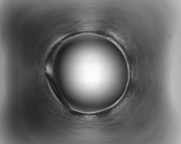 X0000098081453200804110933