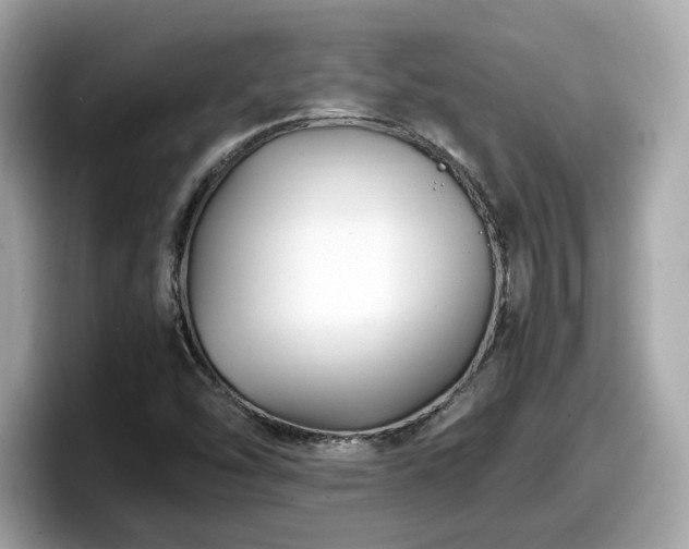 X0000098081454200804110933