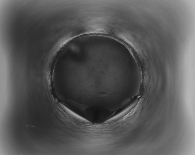 X0000098081455200804110933