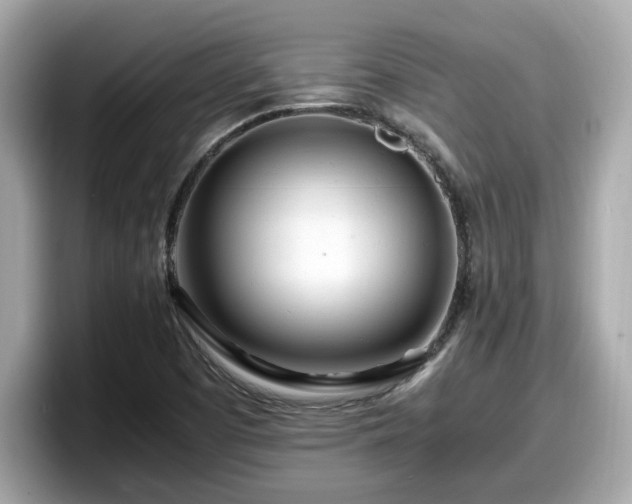 X0000098081457200804110933