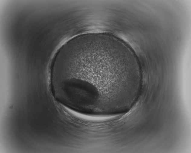 X0000098081459200804110933