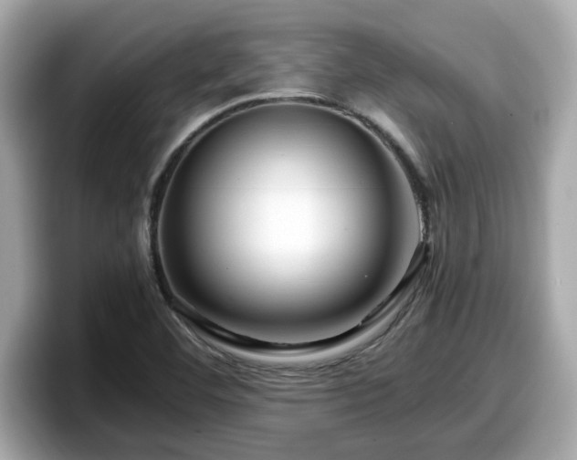 X0000098081460200804110933