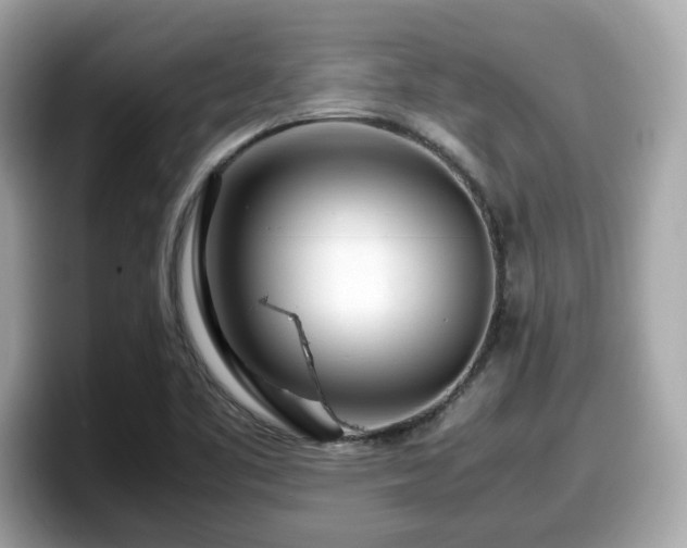 X0000098081461200804110933