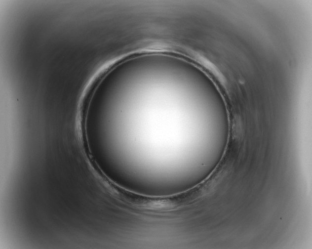 X0000098081464200804110933