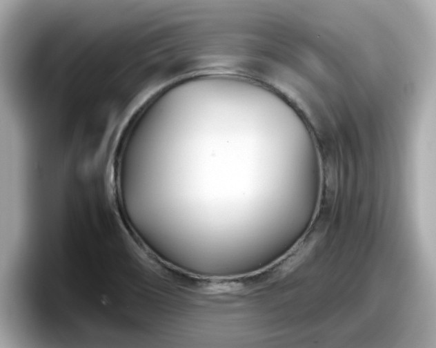 X0000098081466200804110933
